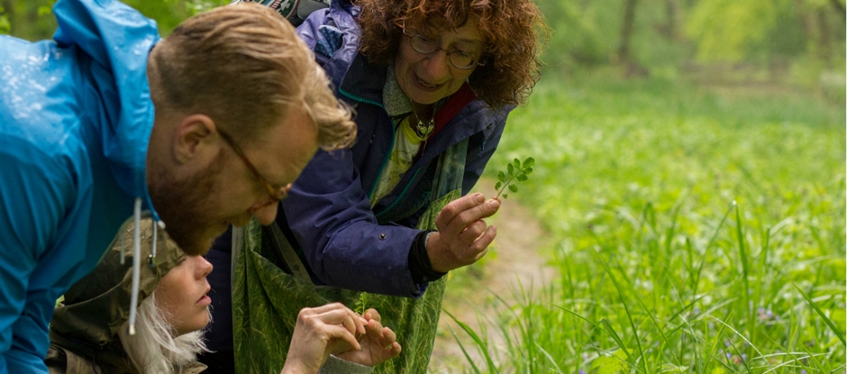 Sustainable foraging
