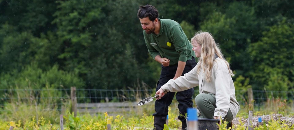 Food forest & Bird Island walk