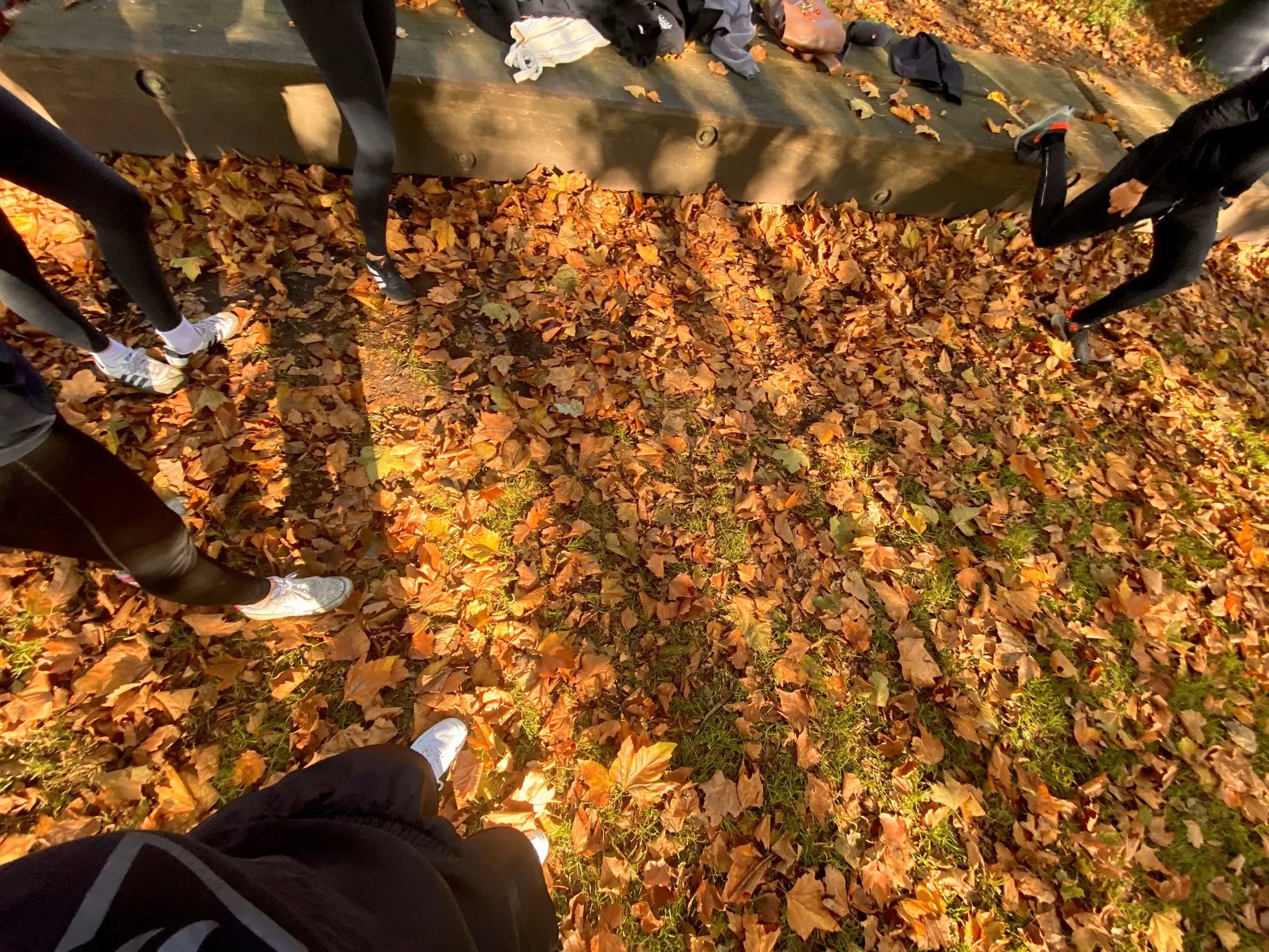 🏃 Free Outdoor HIIT Workout in Amstelveen